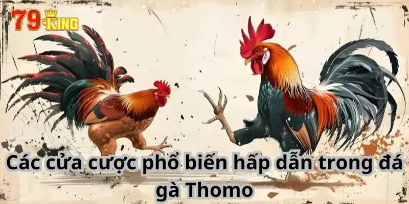 Các cửa cược phổ biến hấp dẫn trong đá gà Thomo