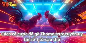 Cách Cá Cược Đá Gà Thomo Trực Tuyến Uy Tín Số 1 Từ Cao Thủ