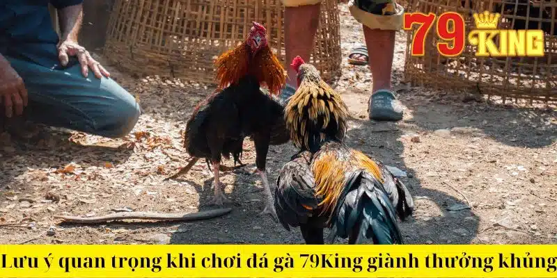 Lưu ý quan trọng khi chơi đá gà 79King giành thưởng khủng